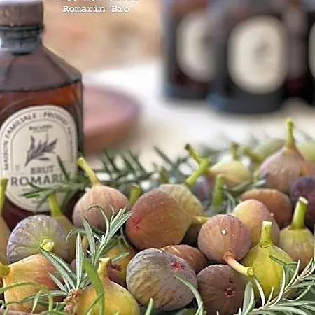 酒店 Maison Lou Piade Un Havre Exclusif De 3 Avec Petit Dejeuner Fait Maison Et Produits Locaux