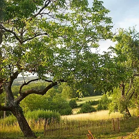 Ξενοδοχείο Maison Lou Piade Un Havre Exclusif De 3 Avec Petit Dejeuner Fait Maison Et Produits Locaux Sarlat